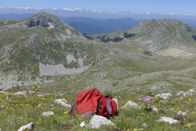 Monte Velino e Monti della Duchessa, le orchidee e la Natura  2024.